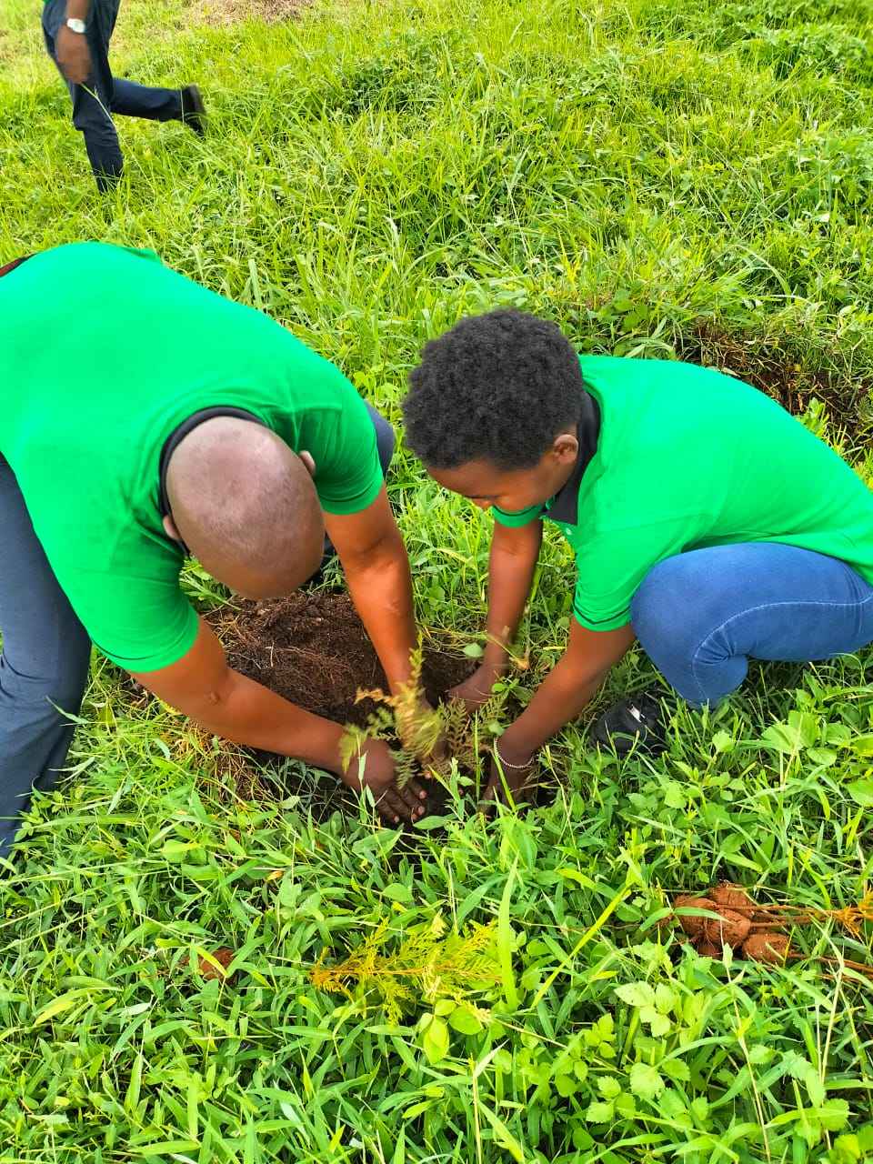 Youth Environmental Education and Capacity Building